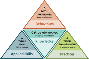 Policy Skills Framework 