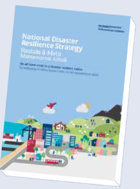 National Disaster Resilience Strategy