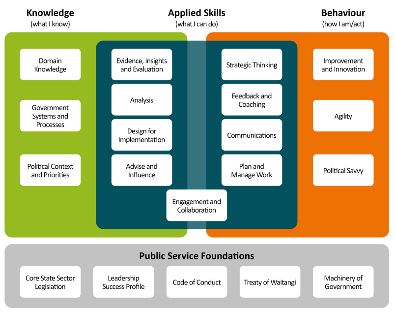 The original Policy Skills Framework
