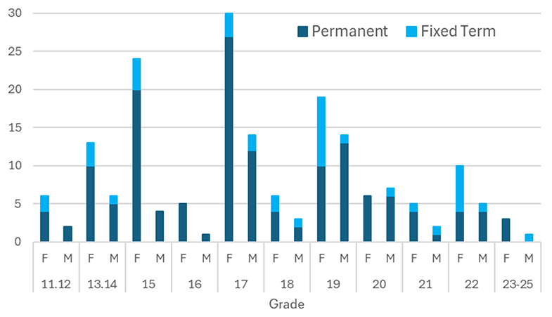 DEI Plan 2025/26 - Employees by grade, gender and type as of June 2025