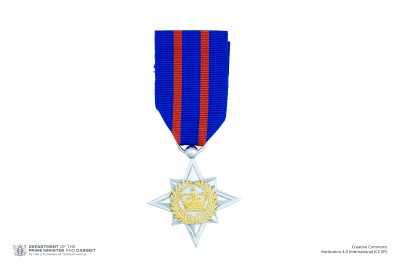 The New Zealand Bravery Star