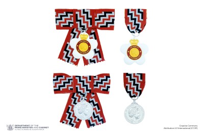 Composite image showing the full-size badge of a Companion of the Queen's Service Order on both ribbon and bow configurations, alongside the associated Queen's Service Medal also depicted on both ribbon and bow configurations